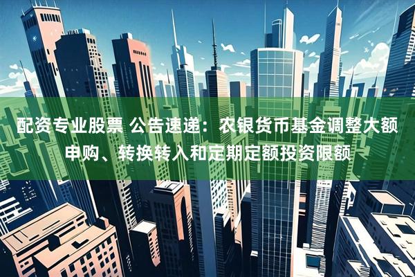 配资专业股票 公告速递：农银货币基金调整大额申购、转换转入和定期定额投资限额