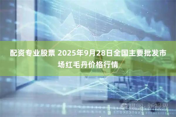 配资专业股票 2025年9月28日全国主要批发市场红毛丹价格行情