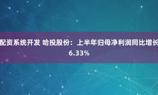 配资系统开发 哈投股份：上半年归母净利润同比增长6.33%